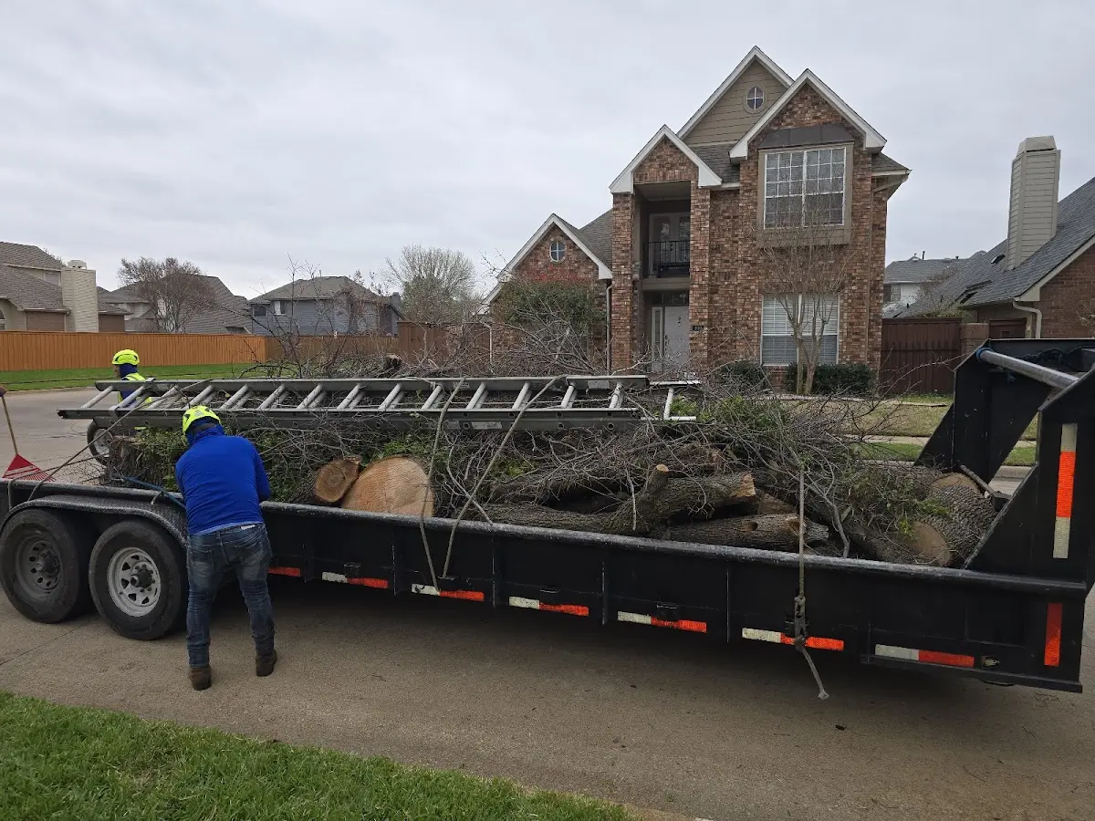 Expert Tree Fertilization with proper safety equipment in Silvis